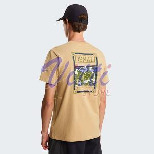 THE NORTH FACE T-SHIRT FACES XL KHAKI STONE (UOMO)