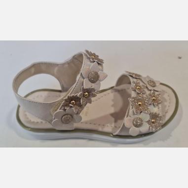 ASSO AG14820 MISURA 34 CIPRIA  (BAMBINI)